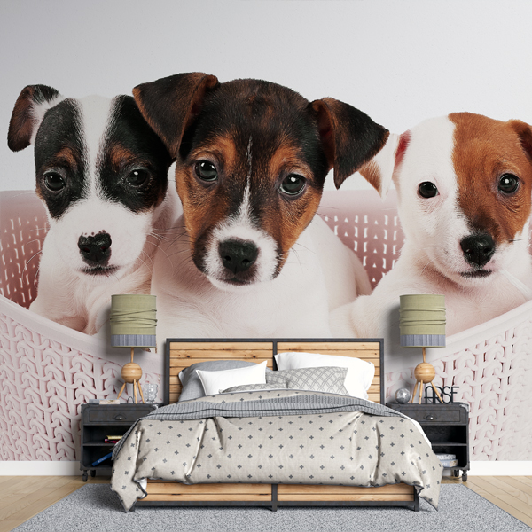 Puppy Wallpaper | Canvas and Wall South Africa