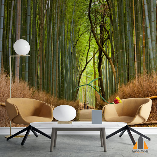 Bamboo Forest on Wallpaper | Canvas and Wall South Africa